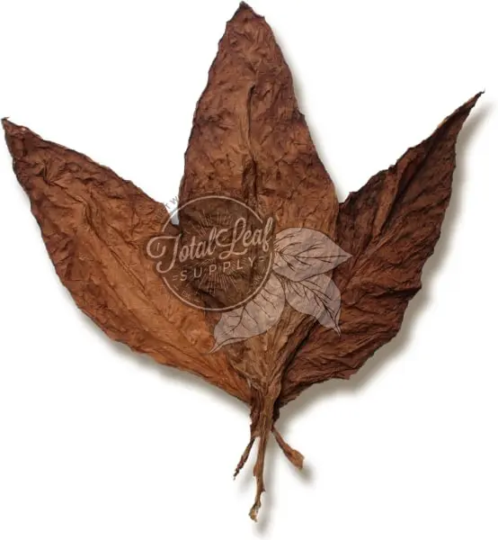 tobacco pattern Types of Cigar Leaves though examples have also been found in other European countries and in North America Glasgow Magistrate Wrapper
