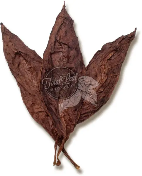 dark fire tobacco leaf Virginia Light Cured Wrapper Dark Fire Tobacco Growing Tips