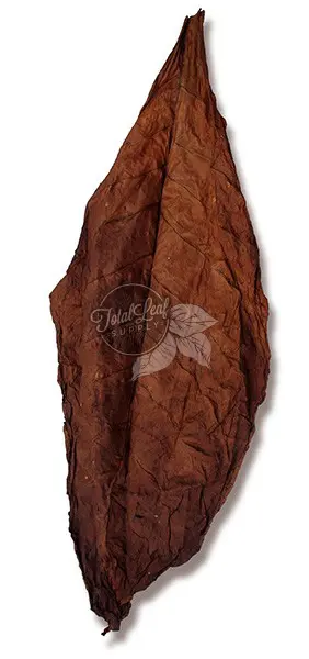 fire-cured tobacco sugar content What is Fire Cured Tobacco? Low Grade Quality Dark Fired