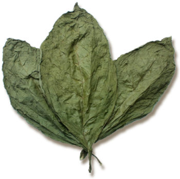 Candela Wrapper Tobacco Leaf for Sale
