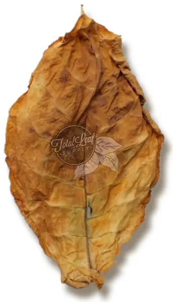 natural tobacco leaves Information and Facts Bio Tobacco Leaf Absolute Absolute Essential Oil Dried Tobacco Leaf North