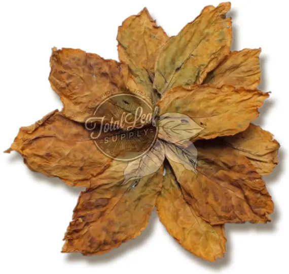 oriental tobacco leaf size Turkish/Oriental Izmir, 1lb A Spotlight on American Tobacco