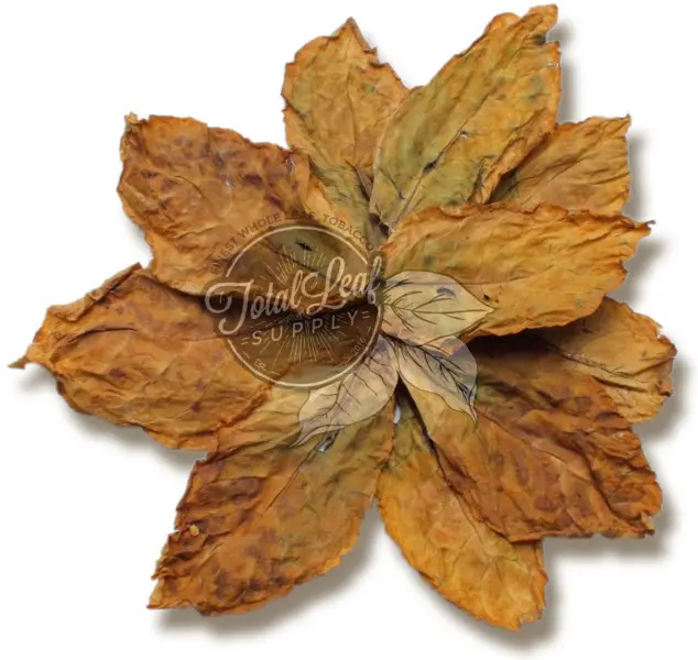 sun-curing tobacco process Leaf Harvesting, Curing, and Fermenting Harvesting and curing method of