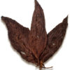 virginia fire cured tobacco Virginia Light Fire Cured Solid Leaf Tobacco