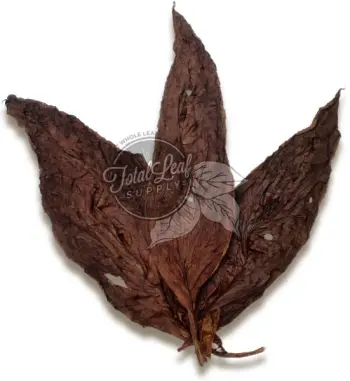fire cured tobacco How Avanti Dark Fire-Cured Stands Out From the Rest dark fire cured tobacco Heritage