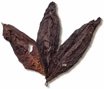 Paraguay Doble Solid Leaf