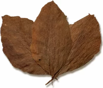 Indonesian Besuki NO Binder