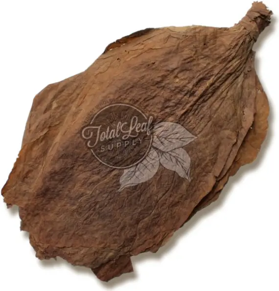 tobacco leaves for sale near me Indonesian Besuki NO Binder LEAF ONLY - Updated July