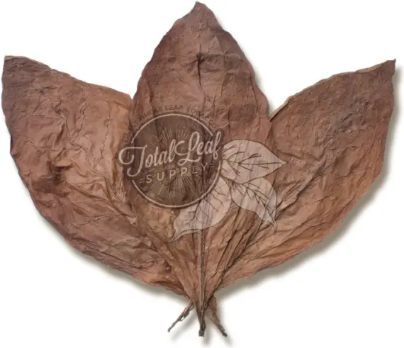 nicaraguan tobacco Puro Volcn (5  60)