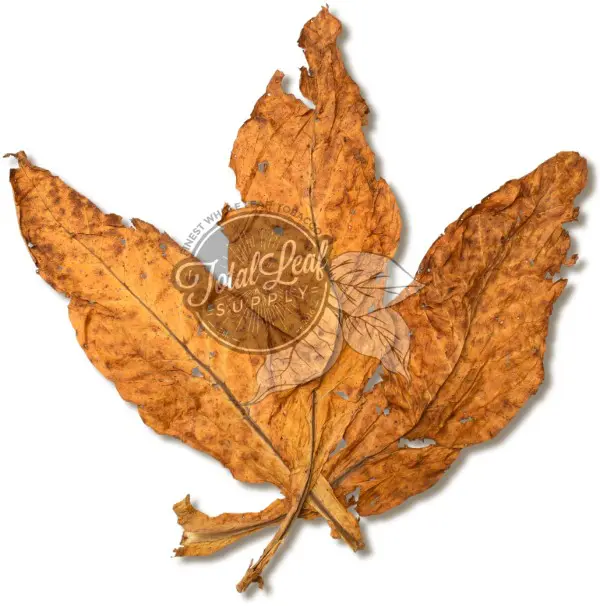 flue-cured virginia tobacco temperature My world - Flue Cured (FCV) | Brothers of Briar Flue Cured Tobacco Market Research