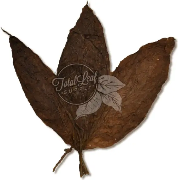 tobacco binder Cigar Anatomy: Parts of a Cigar Brazilian Arapiraca Binder Tobacco |