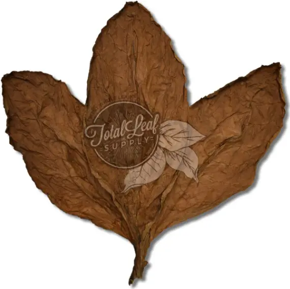 ecuador tobacco Bronceado Cigar Wrapper, 1lb Ecuadorian Sumatra Tobacco - Wikipedia