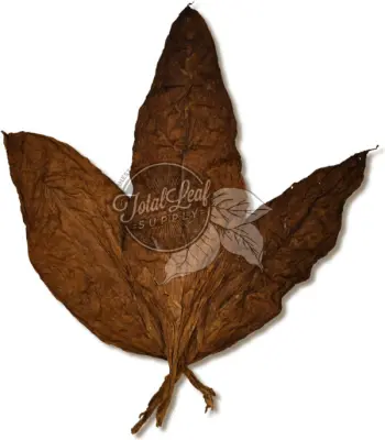 huge tobacco leaf Seeds - selection! Many different varieties of tobacco seeds for sale Local workers between huge bags
