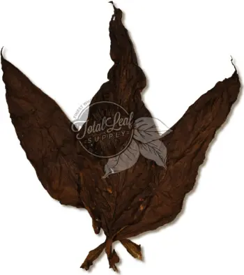 kentucky bird tobacco review Dmkov tabk 50g Kentucky Bird 2 x 200g
