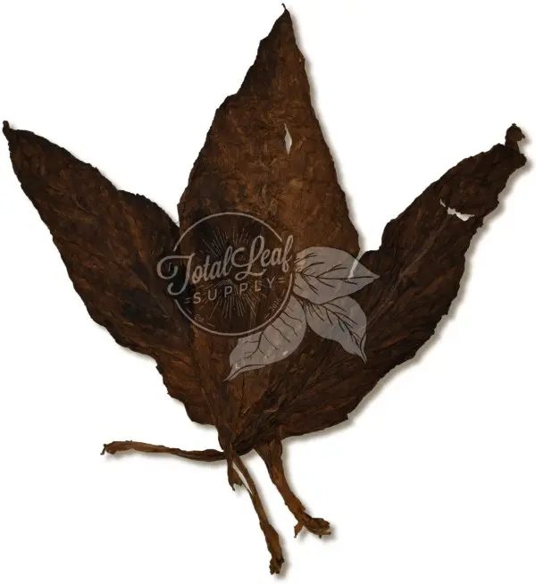 Bruin-XLR-Leaves.jpg.webp