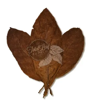 cameroon tobacco leaf What is a Wrapper? Cameroon Cigar Wrapper - The