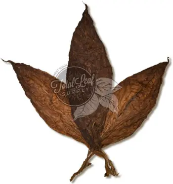 latakia tobacco for sale Pipe Kendal Latakia Medium Cut Blending