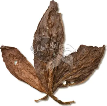 dark fire cured tobacco Kentucky VA 309, 1 lb Dark Fired Cured Fronto Leaf