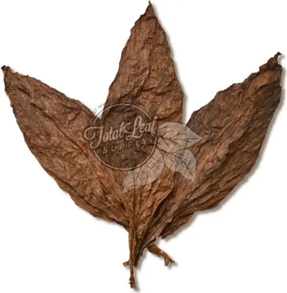 premium tobacco leaf Soul Fronto Leaf Wrap Stock Our Beautiful Safe Candle makes a perfect gift for yourself or your loved ones. Big Dog Whole Leaf |