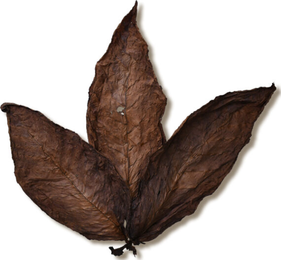 Brazilian Dark Fire Cured Foiano Wrapper