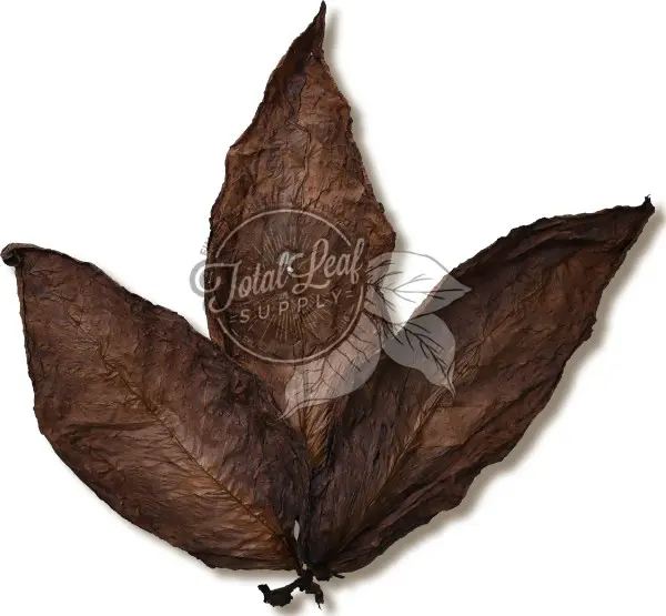 dark fired tobacco vs regular It's that time of year again! As farmers begin harvesting their -fired tobacco crops, it is common to see whiteish-blue smoke coming from the barns. For over a century, farmers in Just because there's smoke, doesn't