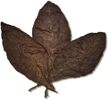 Ecuadorian Habano Marron Ligero Wrapper