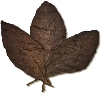 full leaf tobacco Shop Whole Loose Leaf Tobacco