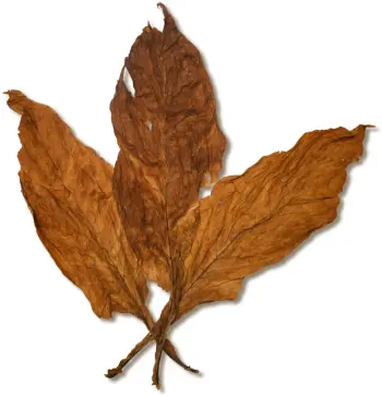 Orange & Red Virginia Flue Cured Tobacco (BK)