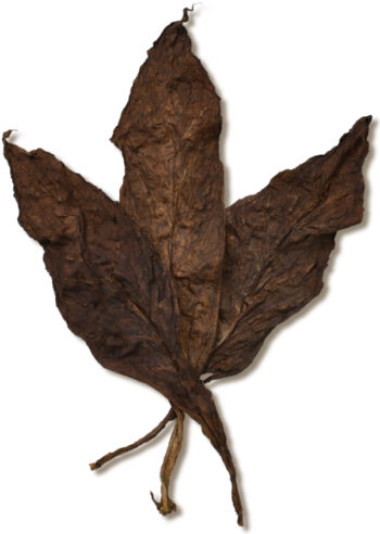 CT Broadleaf Wrapper