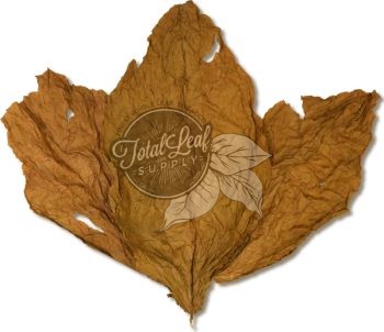 Ecuadorian CT Shade Binder