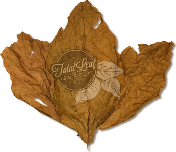 Ecuadorian CT Shade Binder