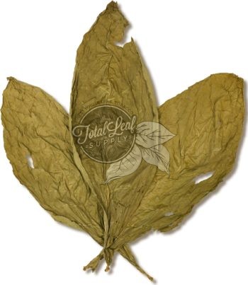 Ecuadorian Candela Binder