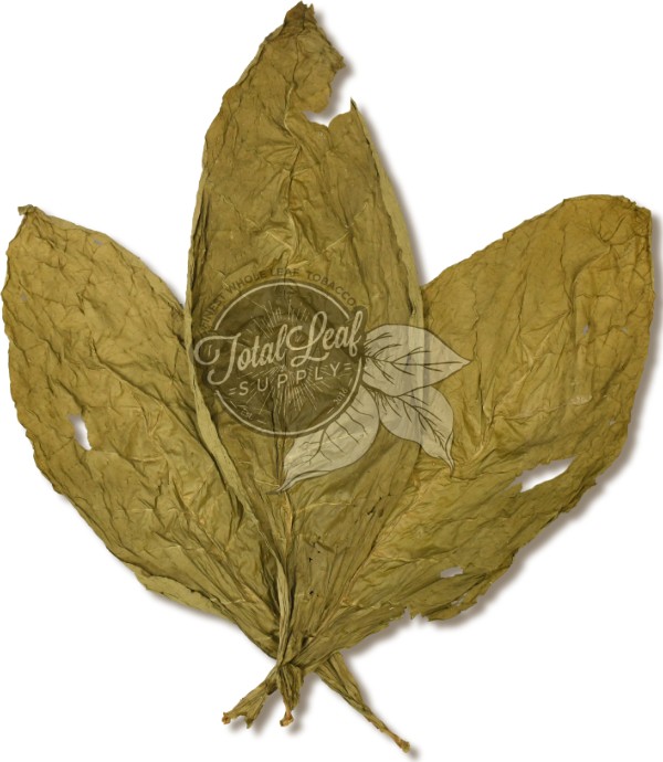 Ecuadorian Candela Binder
