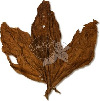 Ecuadorian Habano 2000 Binder